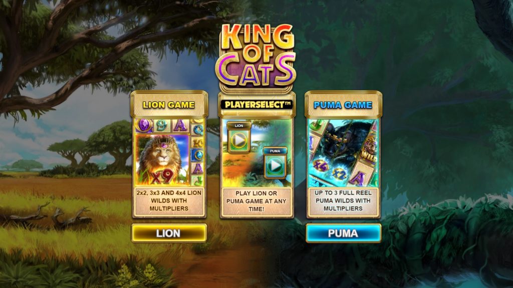 Serunya Bermain Game Slot King Cat